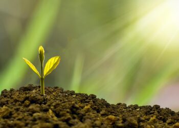 Unleash Your Financial Power: The Best Apps for Beginner Investors to Get Started