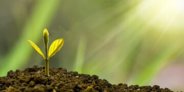 Unleash Your Financial Power: The Best Apps for Beginner Investors to Get Started