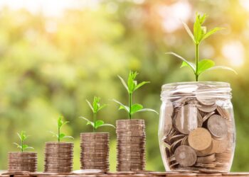 How to Create a Diversified Portfolio: A Beginner's Guide